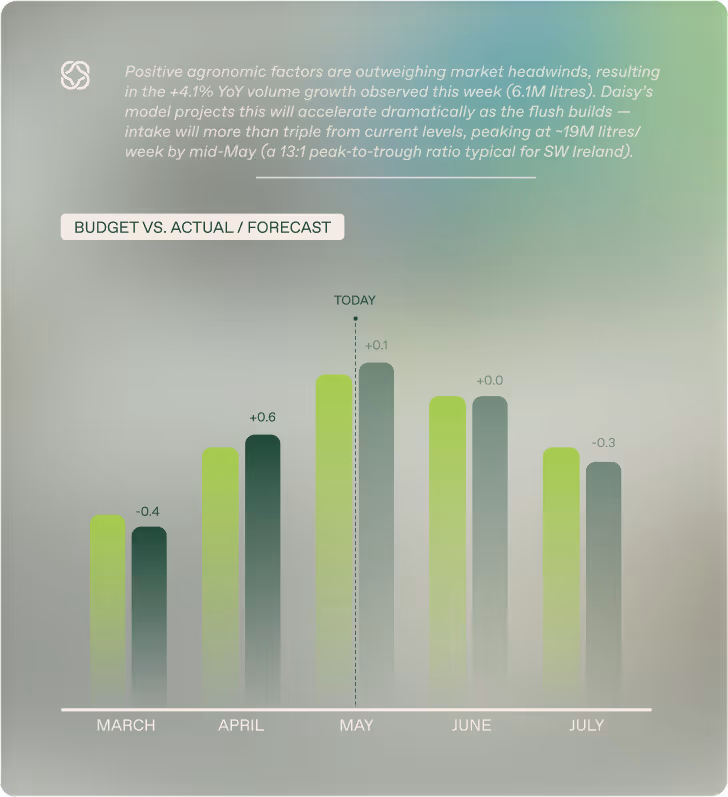 Daisy chart: budget vs. actual and forecast by month