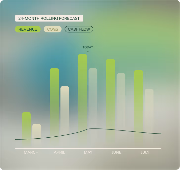Daisy chart: 24-month rolling forecast of revenue, COGS and cashflow